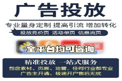 精选案例分享：SEM代运营公司效果展示